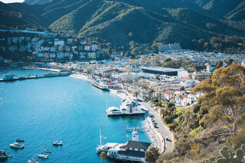 What to do in Catalina Island?